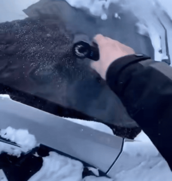 All-Season Power Clear Blower